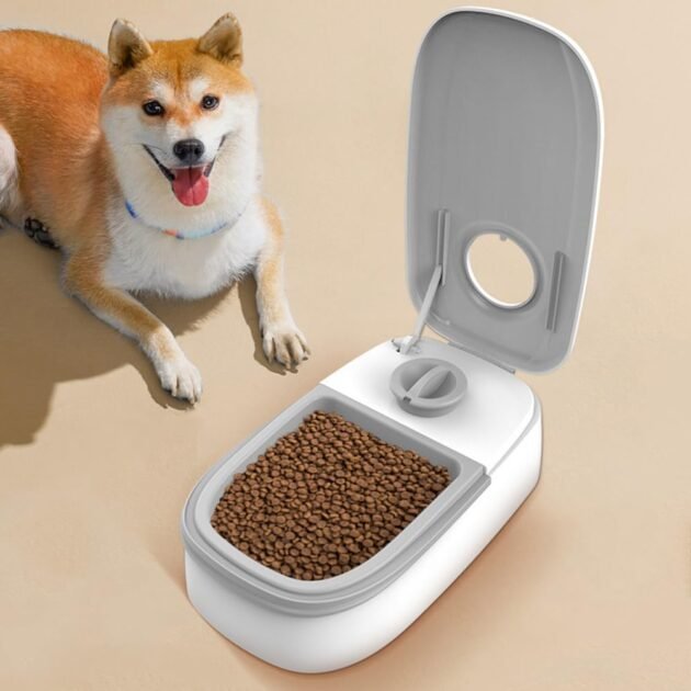 Distributeur automatique de nourriture pour chat et chien